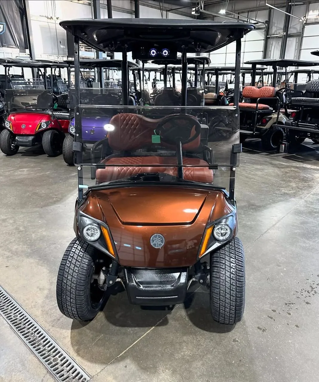 2021 Yamaha Drive2 Quietech EFI ELECTRIC, Lithium Battery ( Brown )